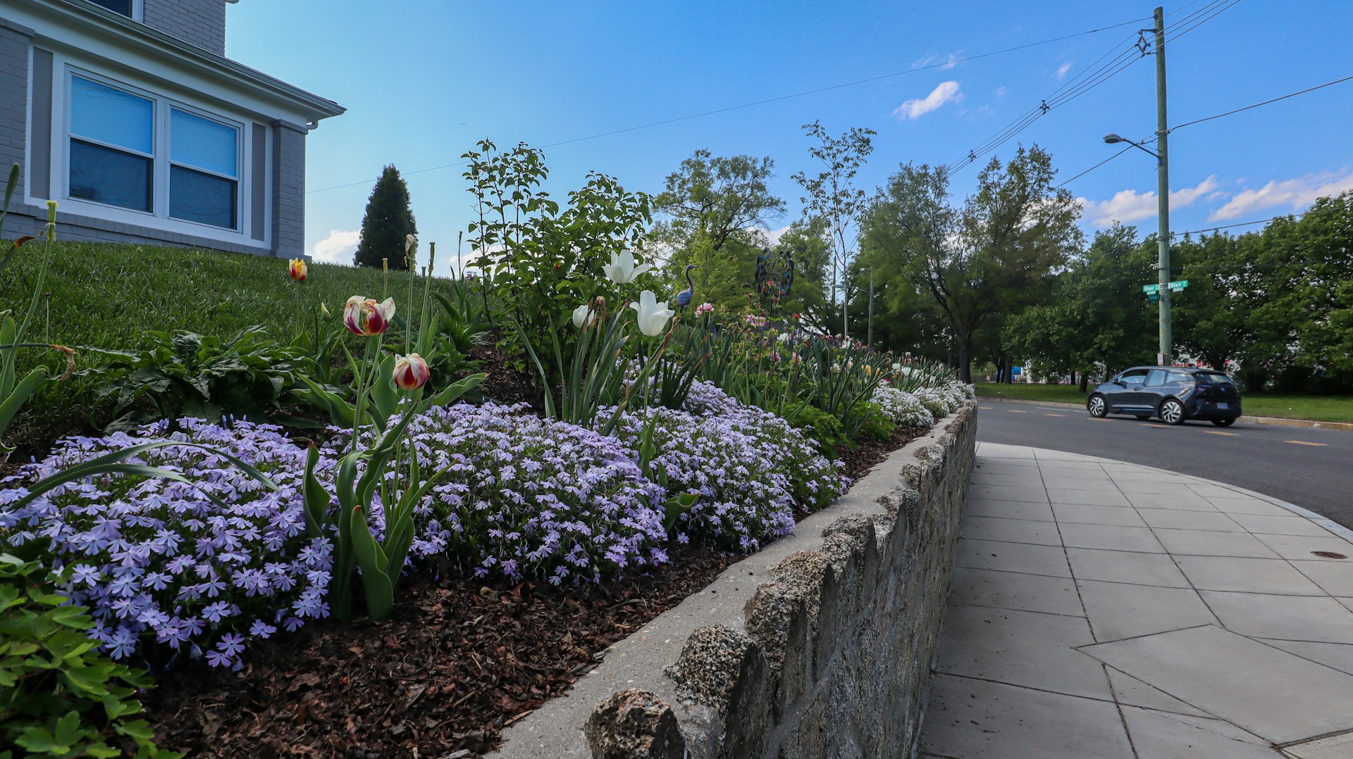 Flowers-near-sidewalk